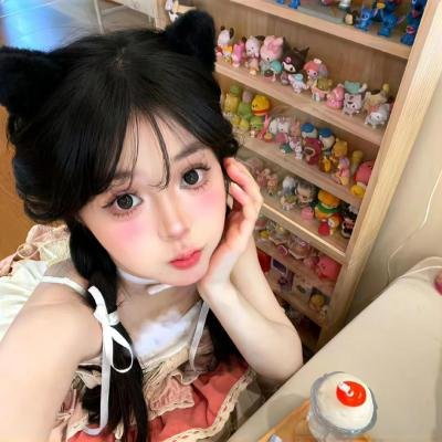 小野猫的公路历险记